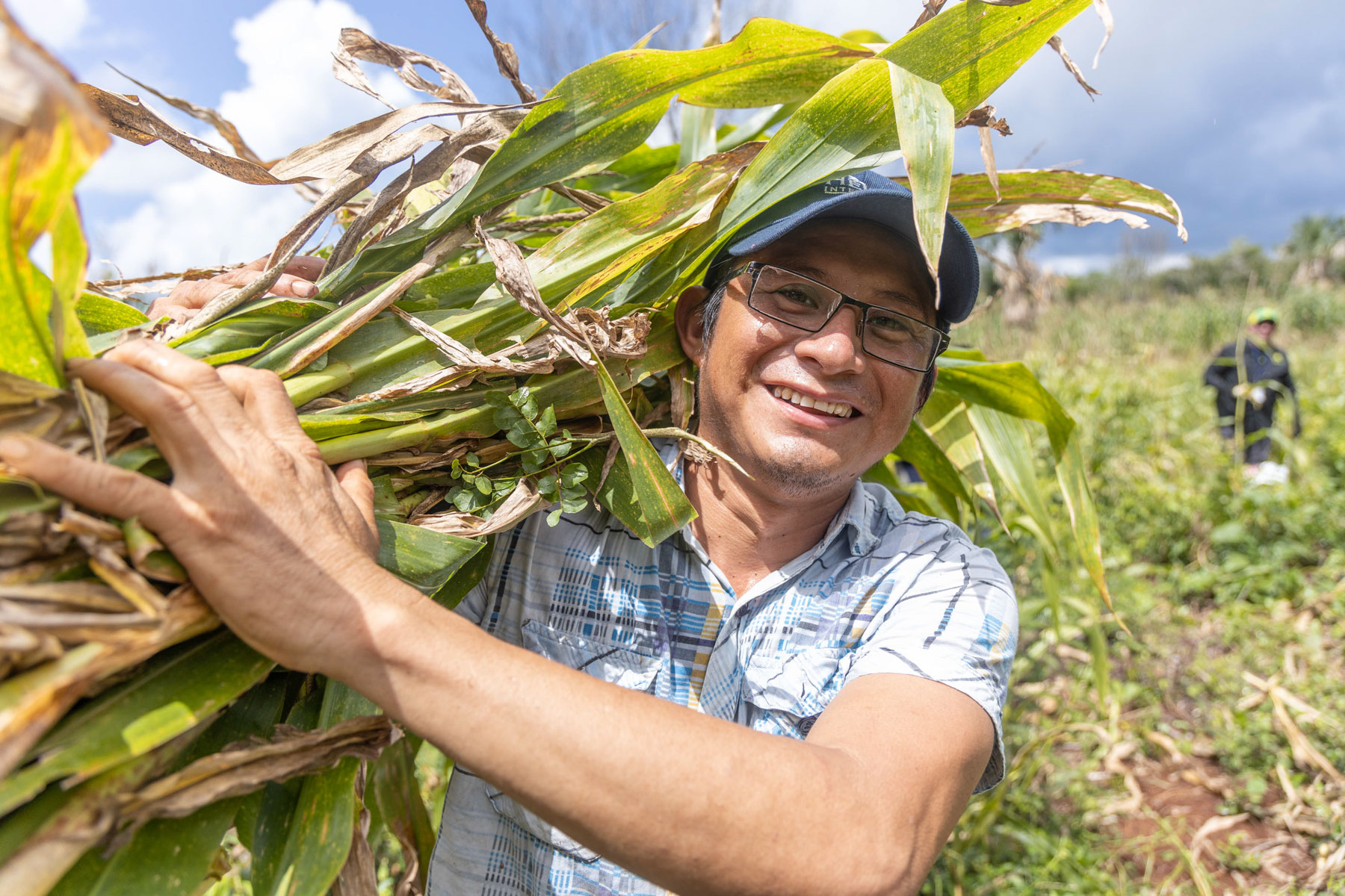 Man wearing a baseball cap and smiling while holding corn stalks.