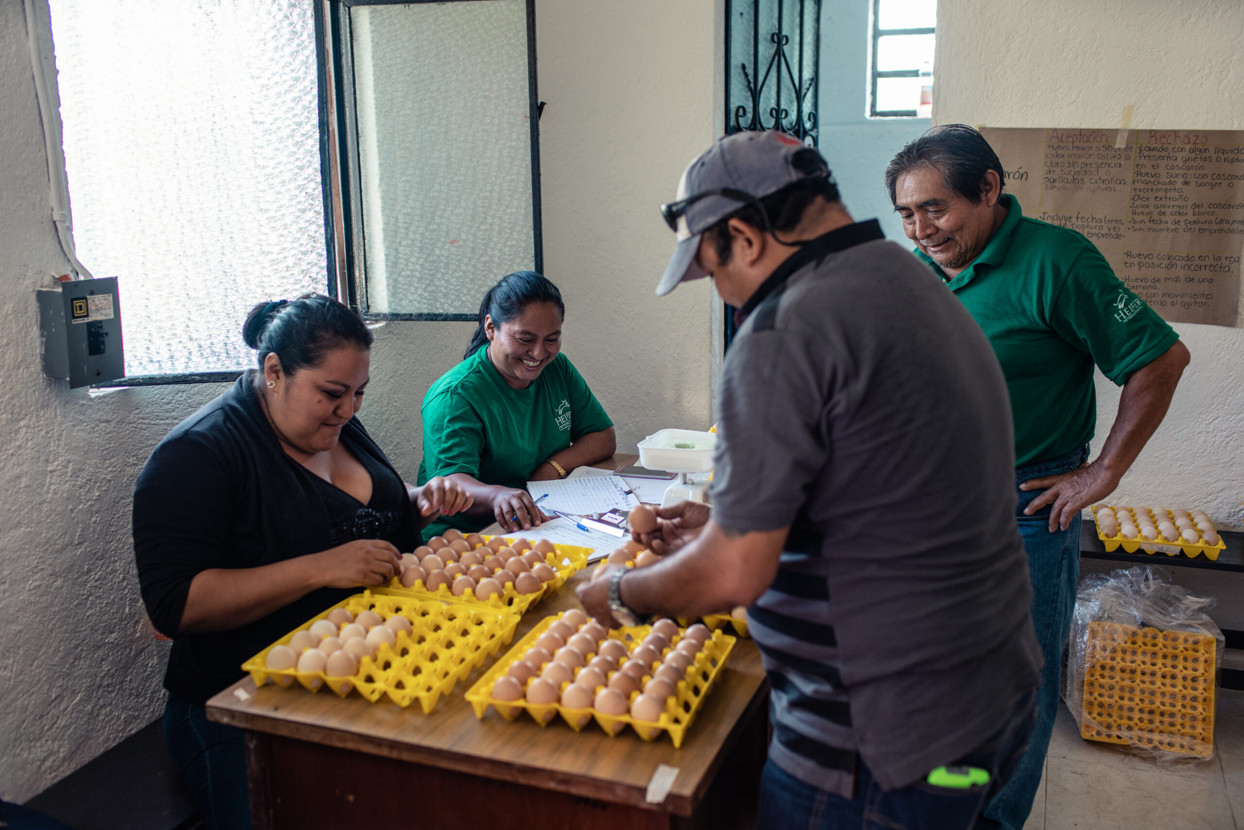 Group of people gathered around a table with egg cartons on it.