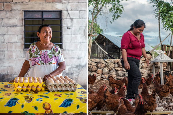Mexico-Poultry-Farmers