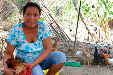 A two-year project, “Rural Entrepreneurs: Connecting Field to Table” is led by the nonprofit Heifer International and made possible by a grant from Walmart Foundation. Heifer Mexico project to benefit from grant from Walmart Foundation