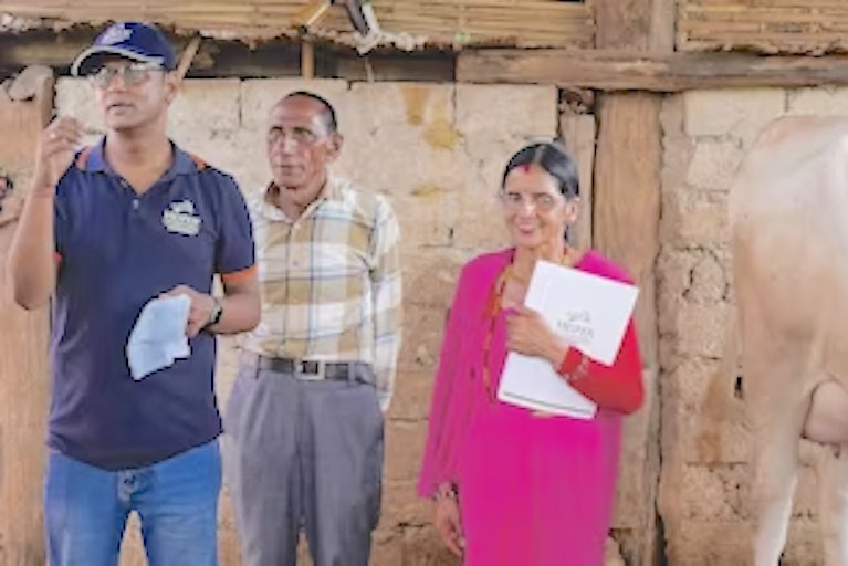 Three people standing next to a cow
