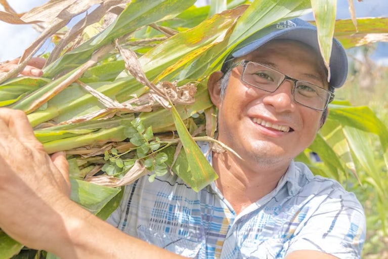Man holding corn in a field