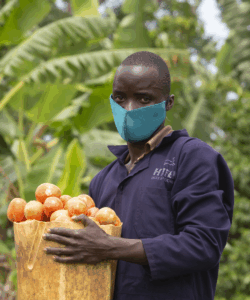 A young Ugandan man holds a basket of his tomatoes.