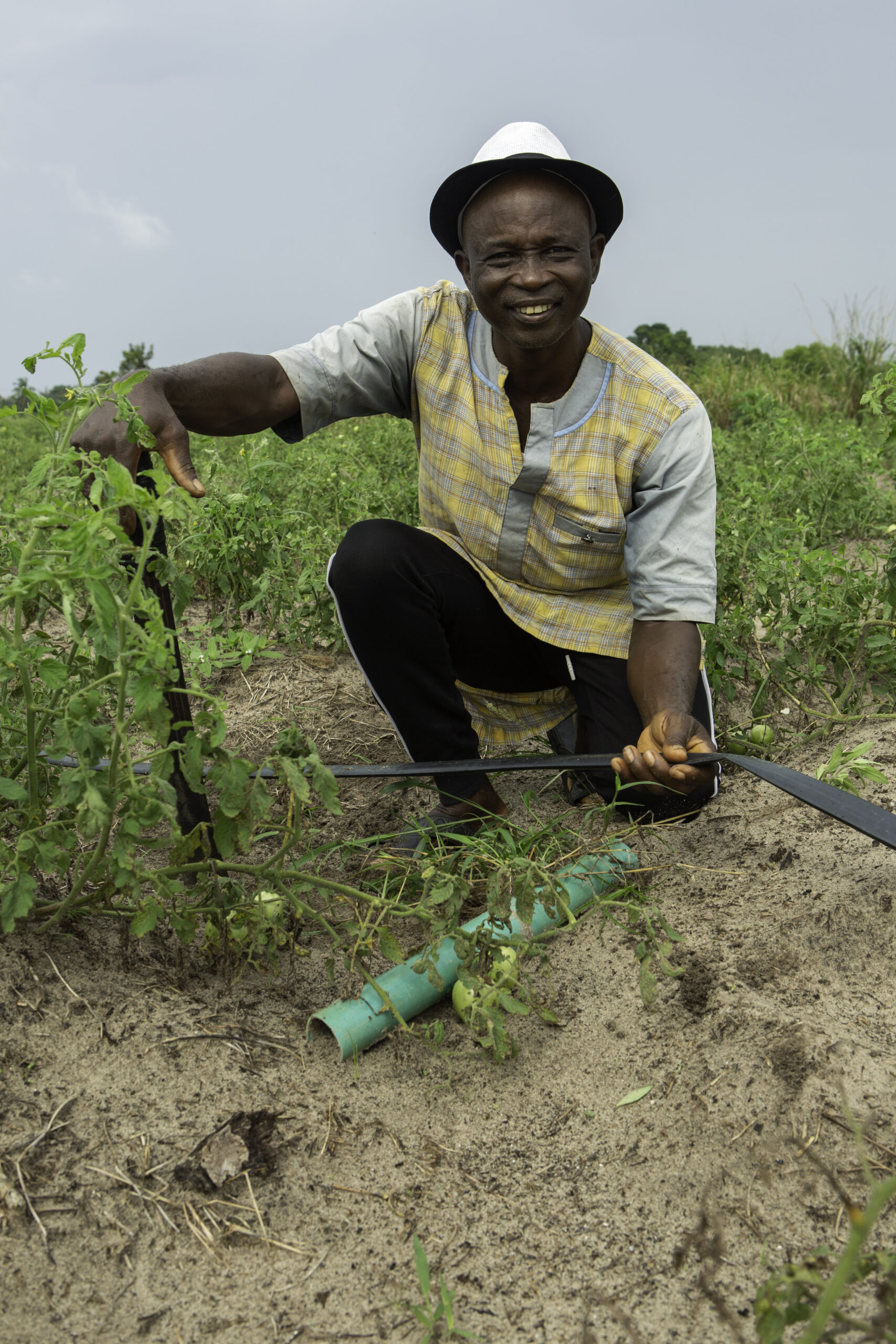 Man kneeling in field next to his crops in Nigeria.