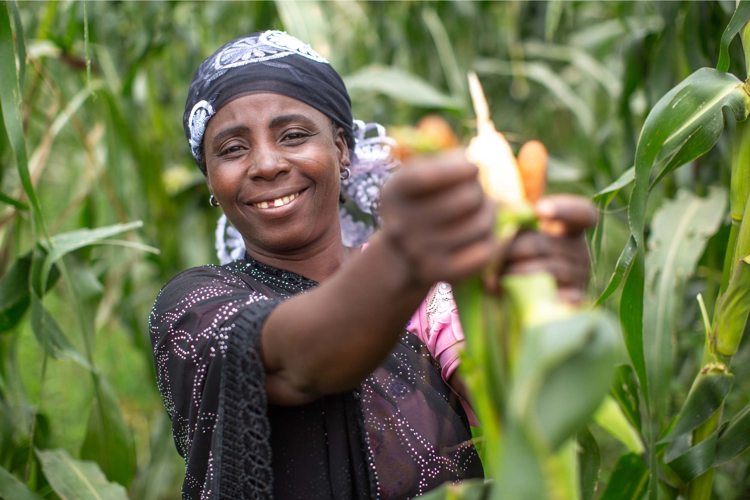 Woman in Nigeria harvesting corn.