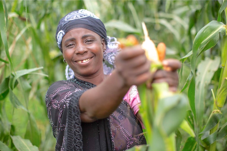 Woman in Nigeria harvesting corn.
