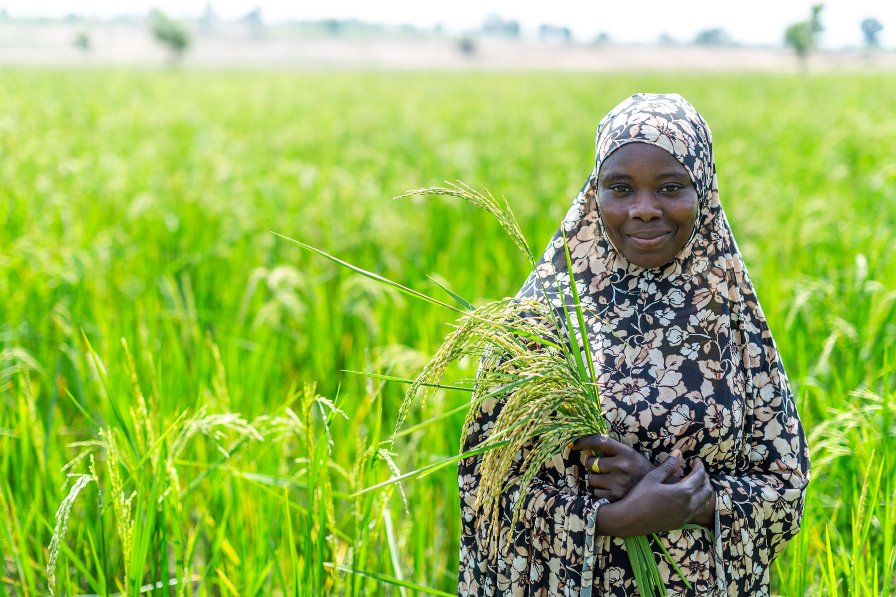 A woman in Nigeria stands in a green rice field holding a small bundle of rice.