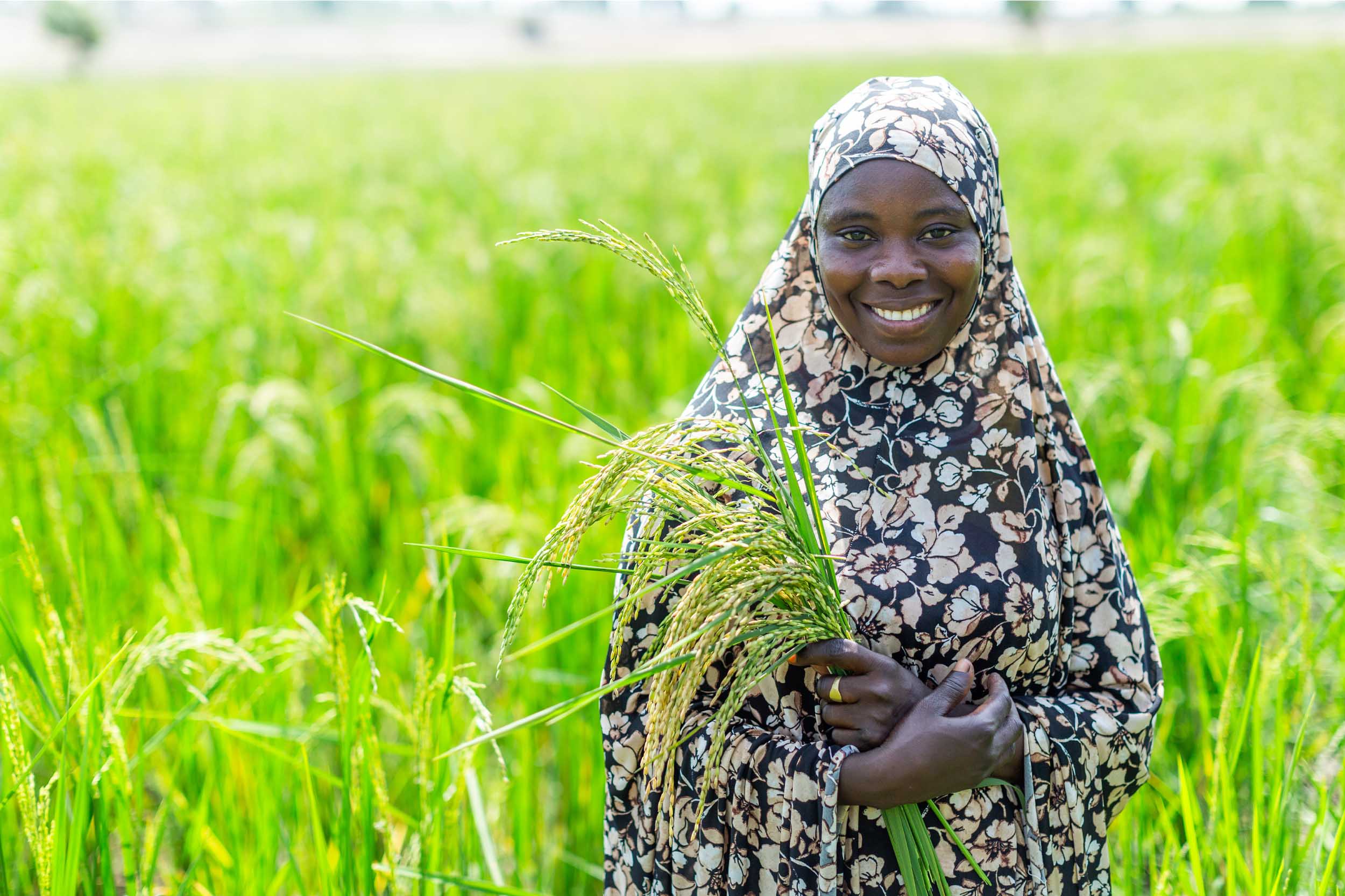 Female farmer in Nigeria standing in a field of rice.
