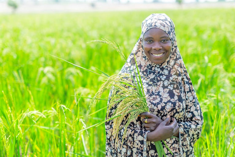 Female farmer in Nigeria standing in a field of rice.