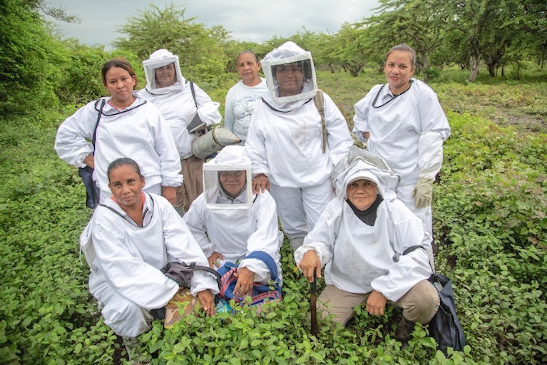 Group of women in white protective beekeeping suits in a green forest setting.