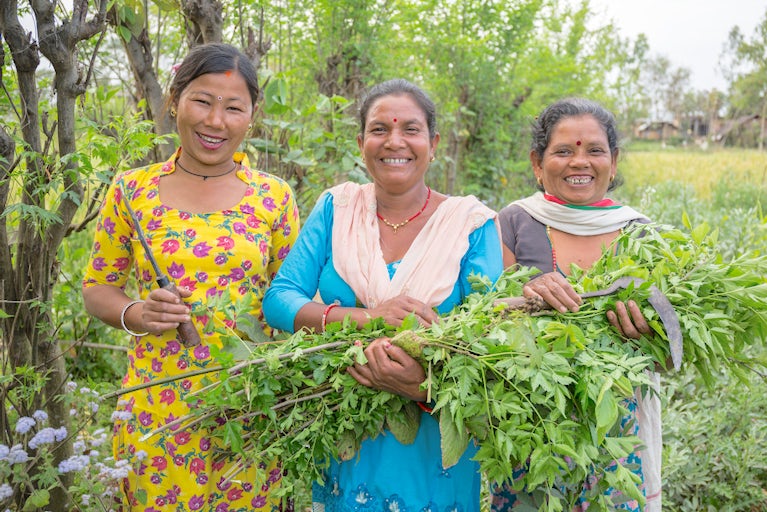 Three women smiling and holding tools for pruning trees, along with the clippings from the trees.