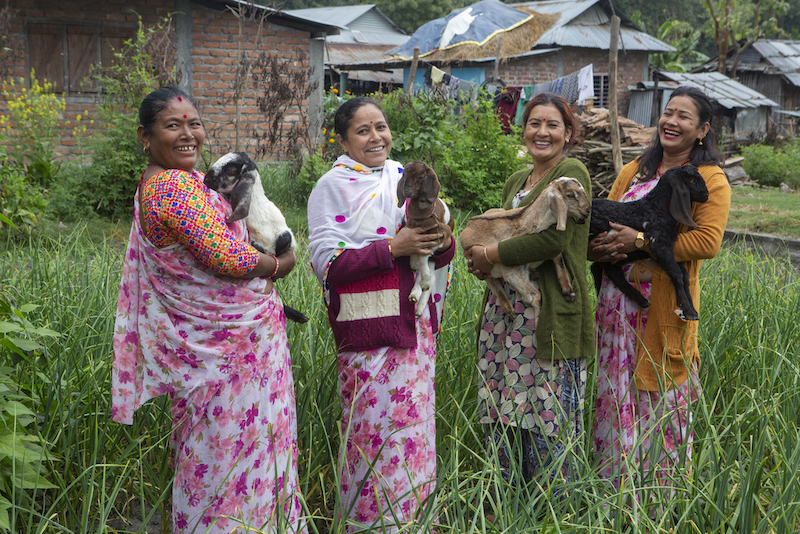 (Left to right) Ganga Bastola, Manmaya Neupane, Bhagawati Parajuli and Nirmala Shreshta, members of the Suraksha SEWC Cooperative, pose with their goats.