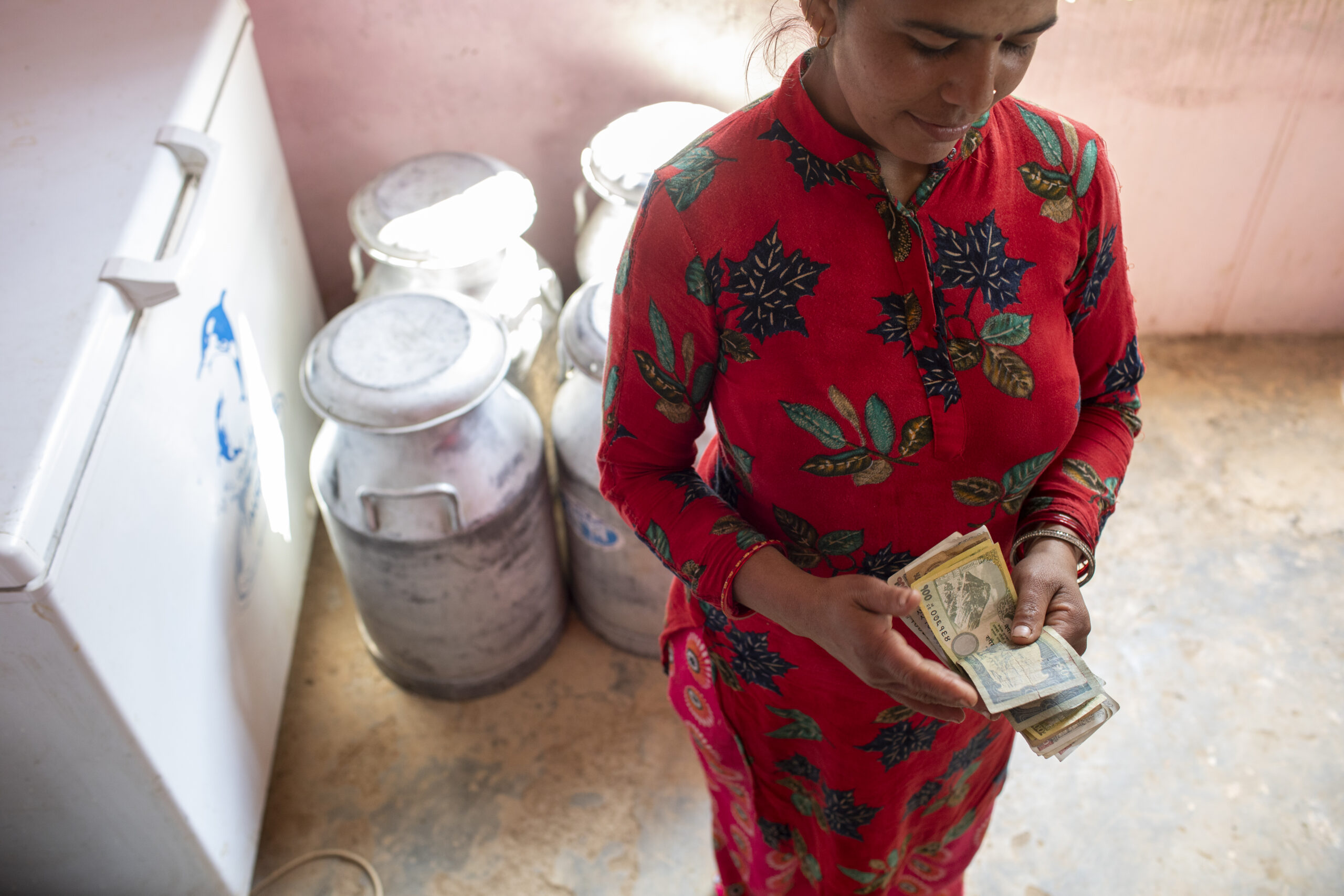 A woman wearing a red floral dress stands indoors, counting a stack of paper currency. Behind her are metal milk containers and a white appliance against a pink wall.