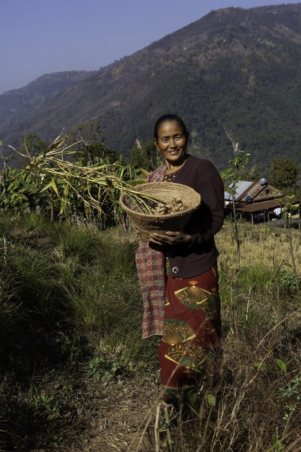 Understanding Global Hunger and Food Insecurity