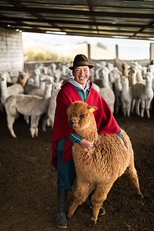 Paco Quishpe, 46, poses with one of the community alpacas. 