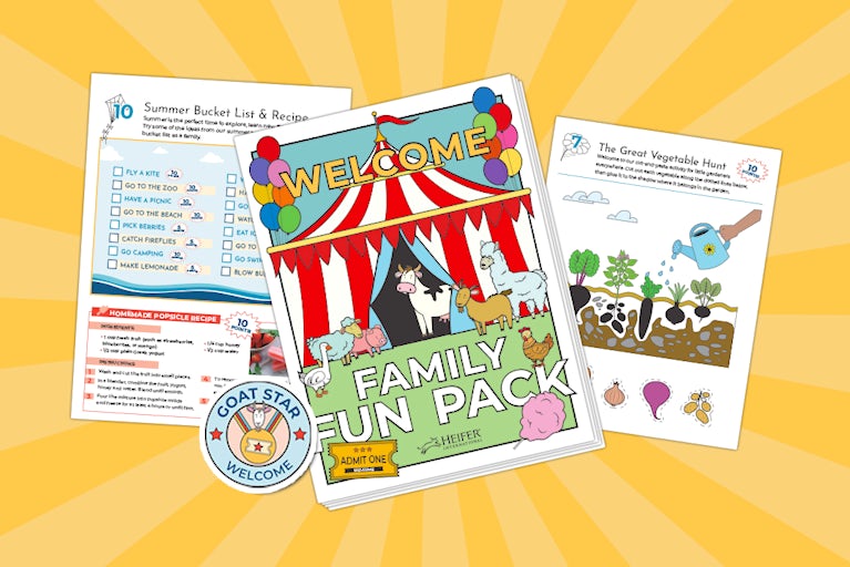 Page from a Family Fun Pack.