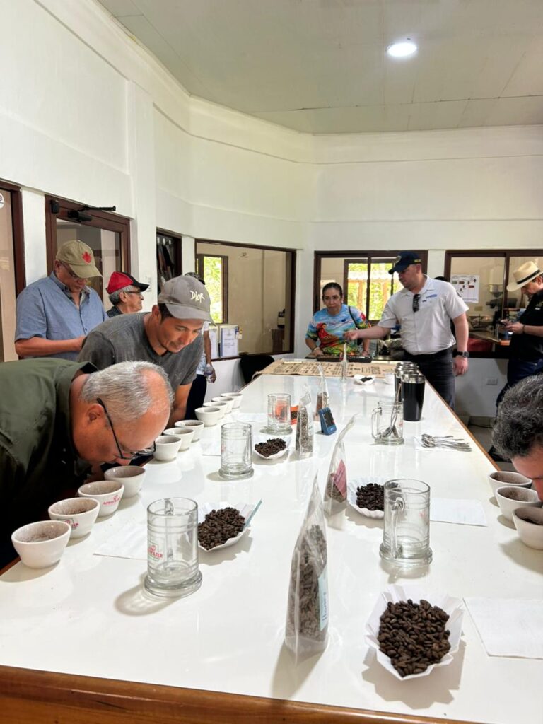 Several people smell cups of coffee arranged on a long table during a coffee cupping session.