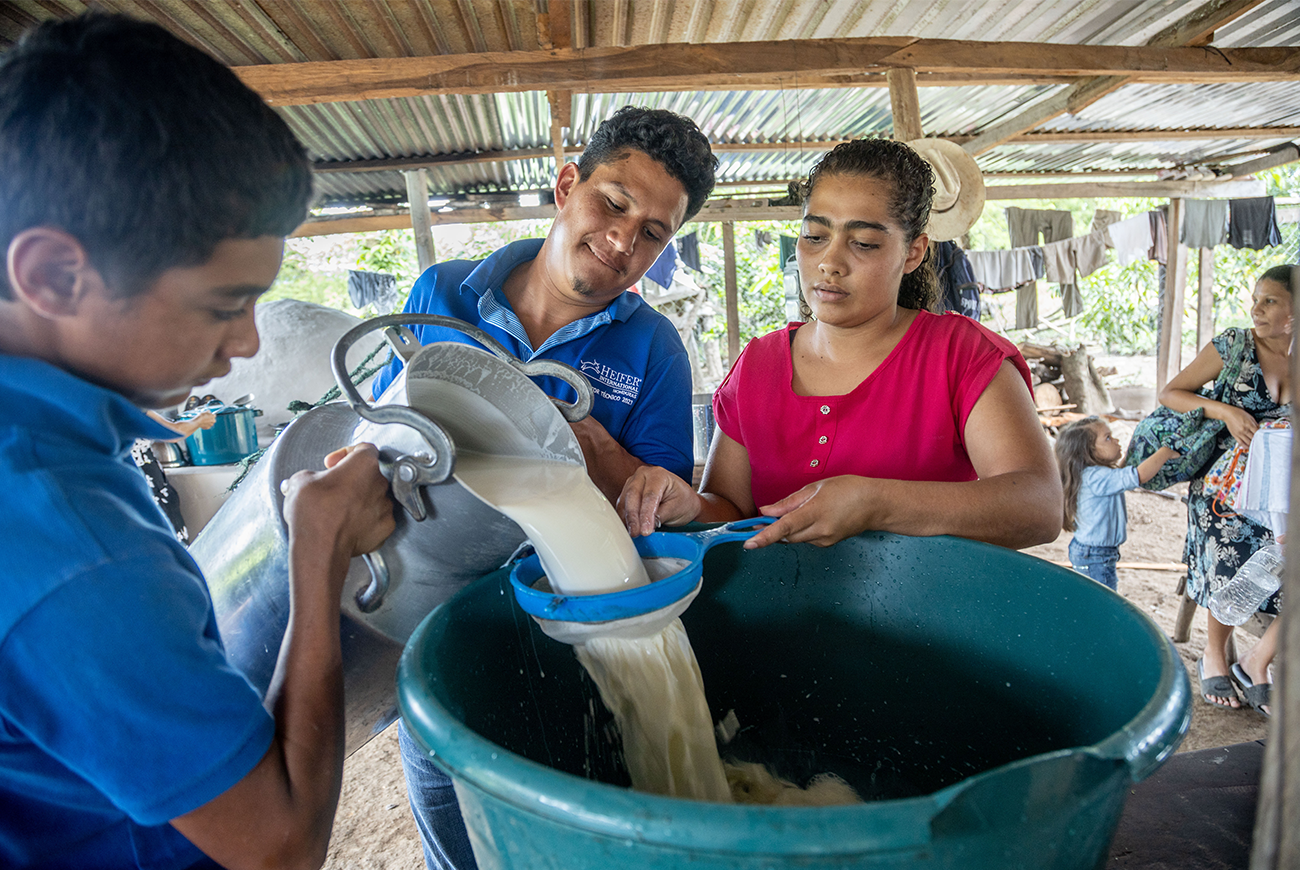 Three people pour milk into a vet through a sieve.