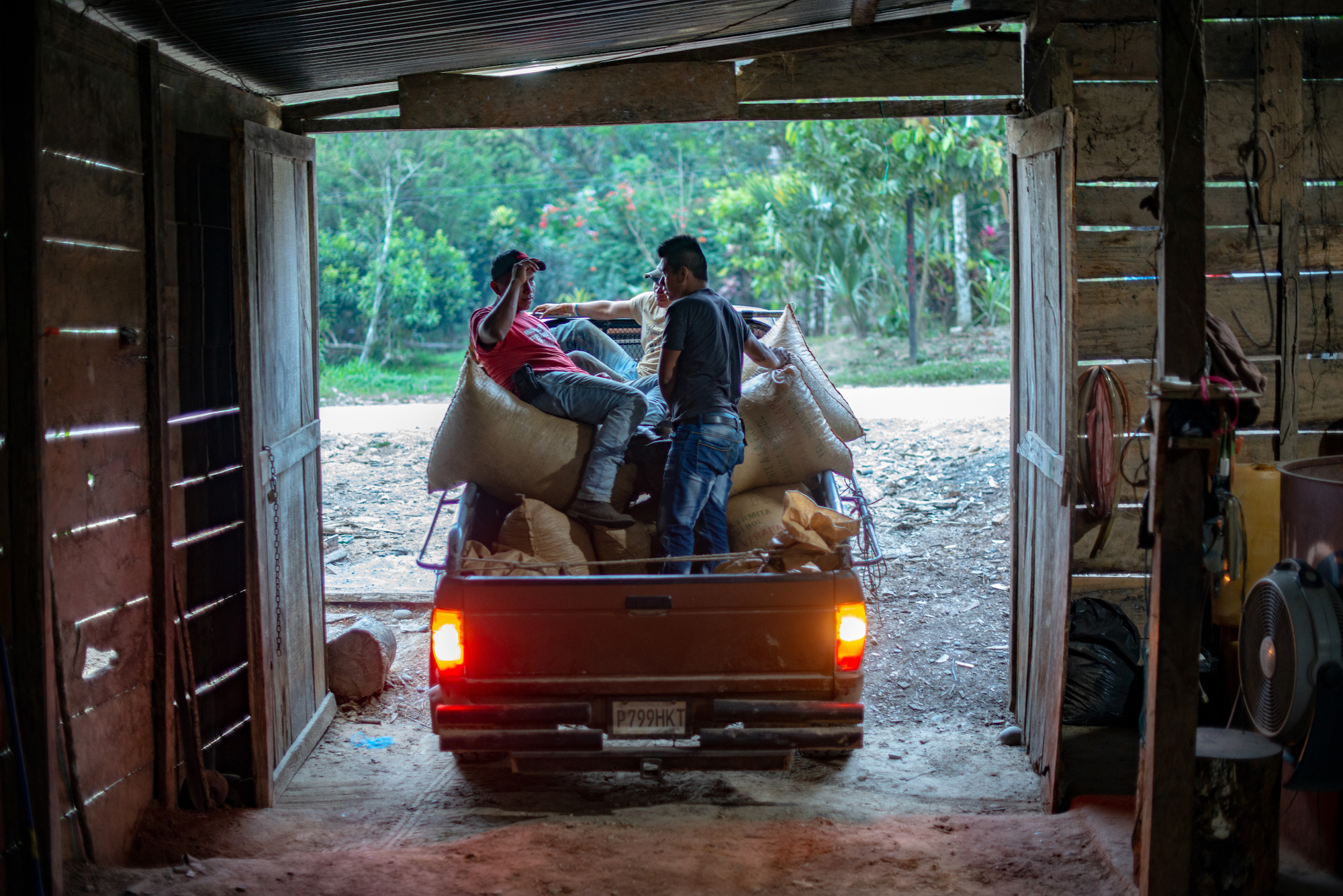 Three cardamom producers sit on full sacks of the spice in a truck bed.