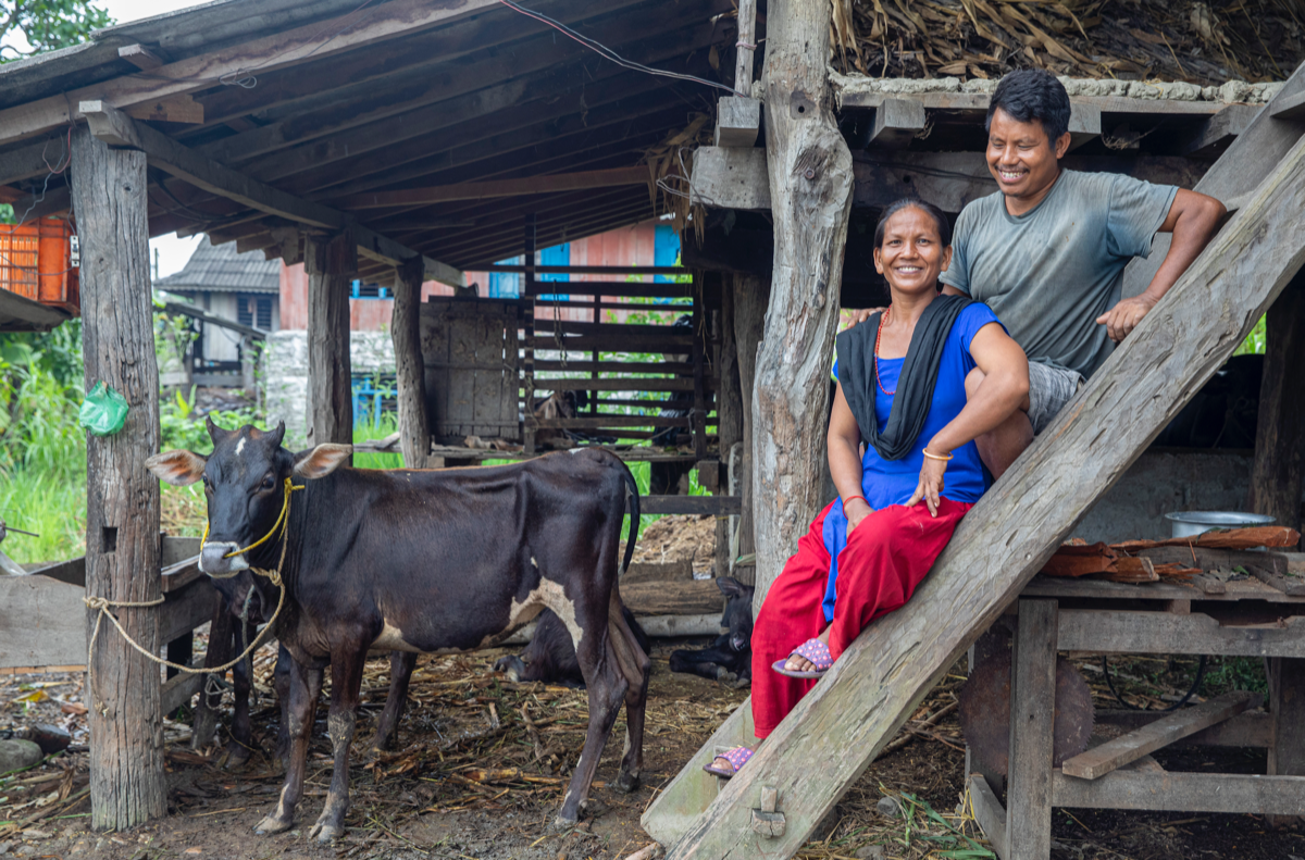 A couple sit on a set of stairs by a shed that houses a young buffalo.