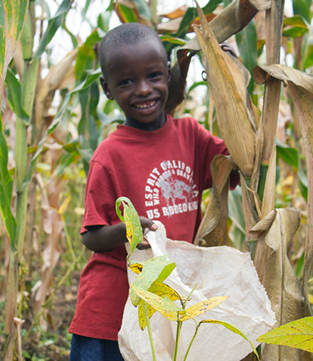 boy and corn
