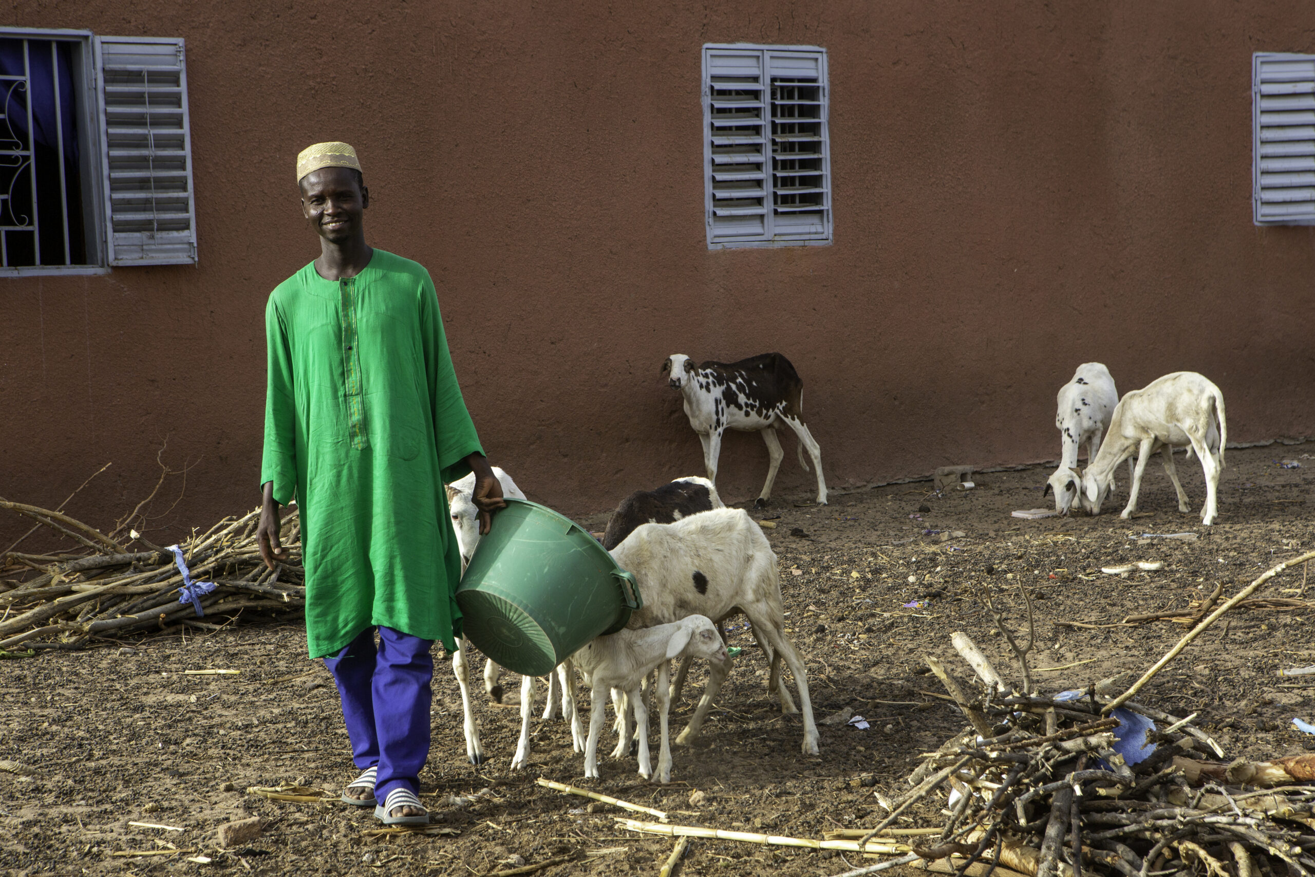 Mamadou cares for his animals.