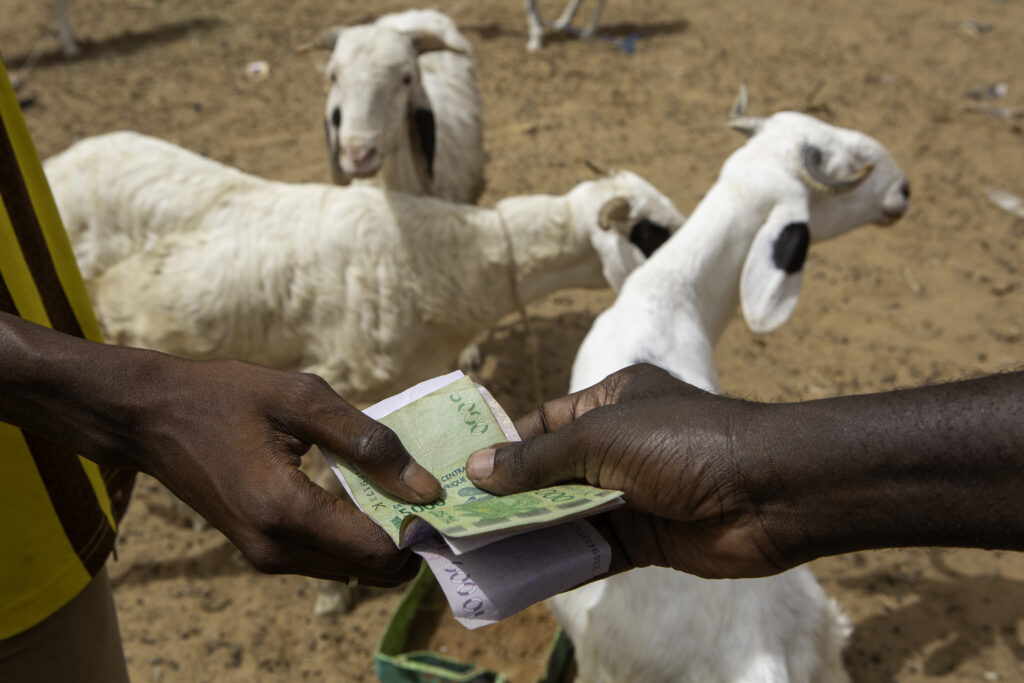 Money changes hands during a sheep sale at a weekly market in Senegal.