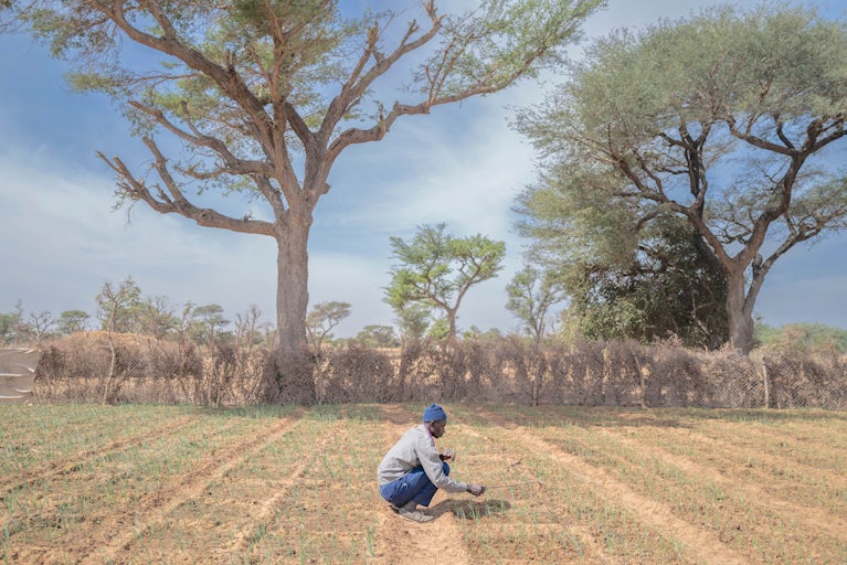 Man in Senegal tending to his farm.