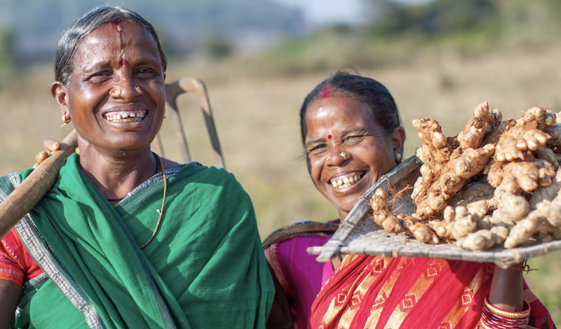 Women farmers holding ginger.