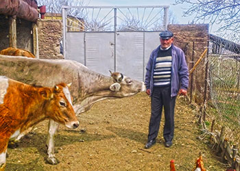 Seyran Hambardzumyan