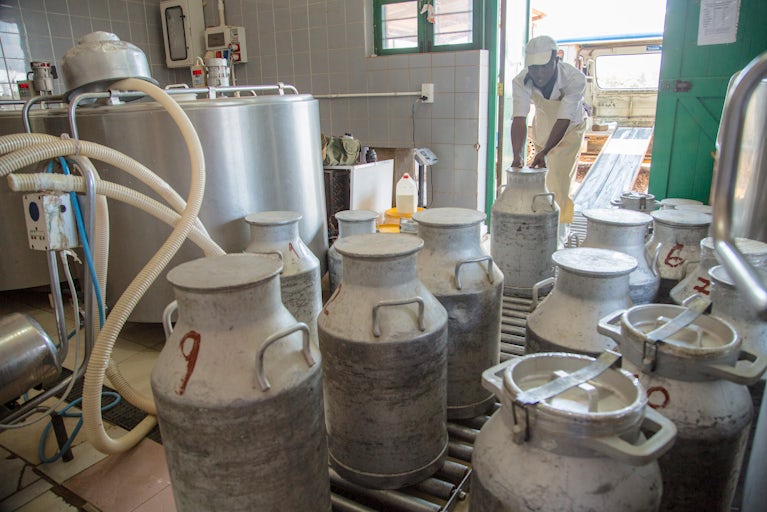 Man working in Milk Production.