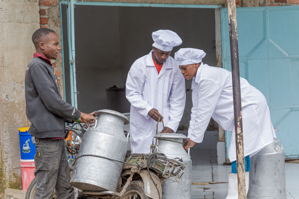 Two men in white coats inspect milk cans delivered by a farmer on a motorbike.