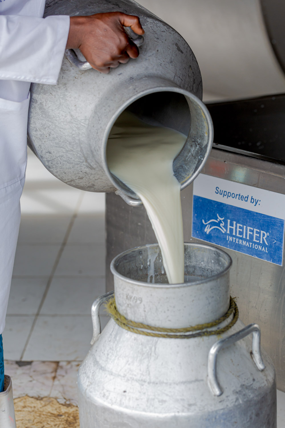 A person in a white lab coat pours milk into a large metal container.