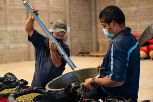 Two men at a cardamom processing facility move some seeds into a barrel for quality testing.