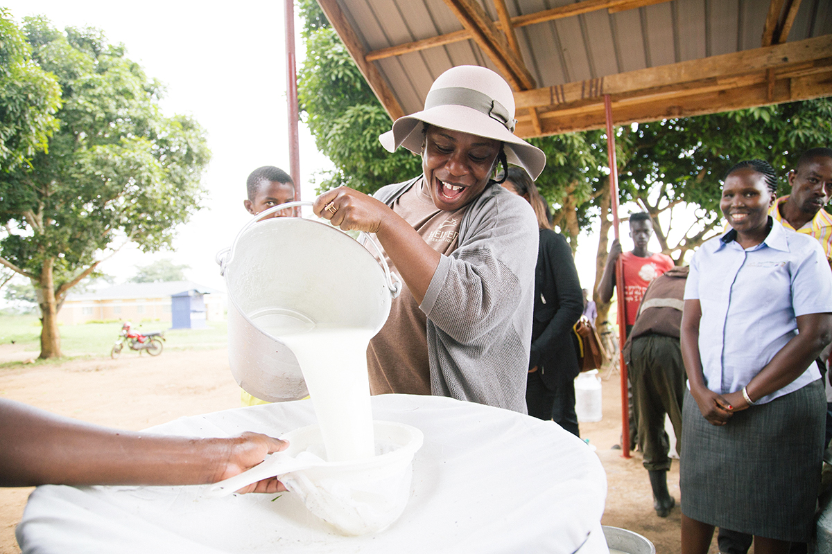 Uzo pours milk through a strainer at Dwaniro Dairy Hub.