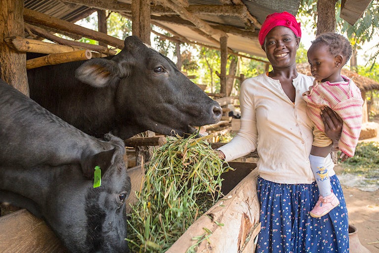 Woman holding a child and feeding a cow in a stable.