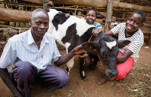 Patrick, his daughter Precious and his son Emmy smile with one of the family’s calves.