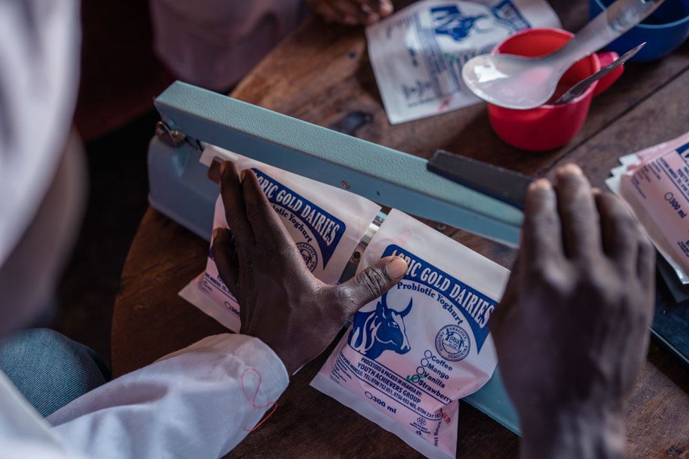 Hands packaging yogurt.