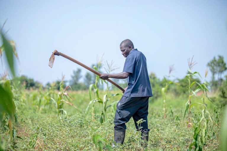 Man tends his field.