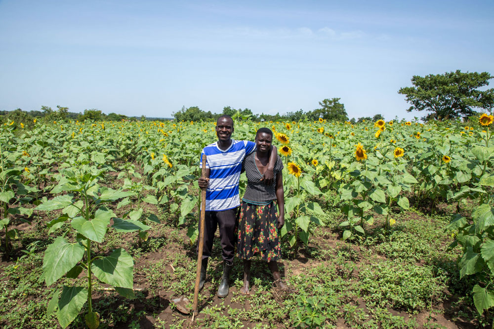 Innocent and Auma tend to sunflowers in their garden.