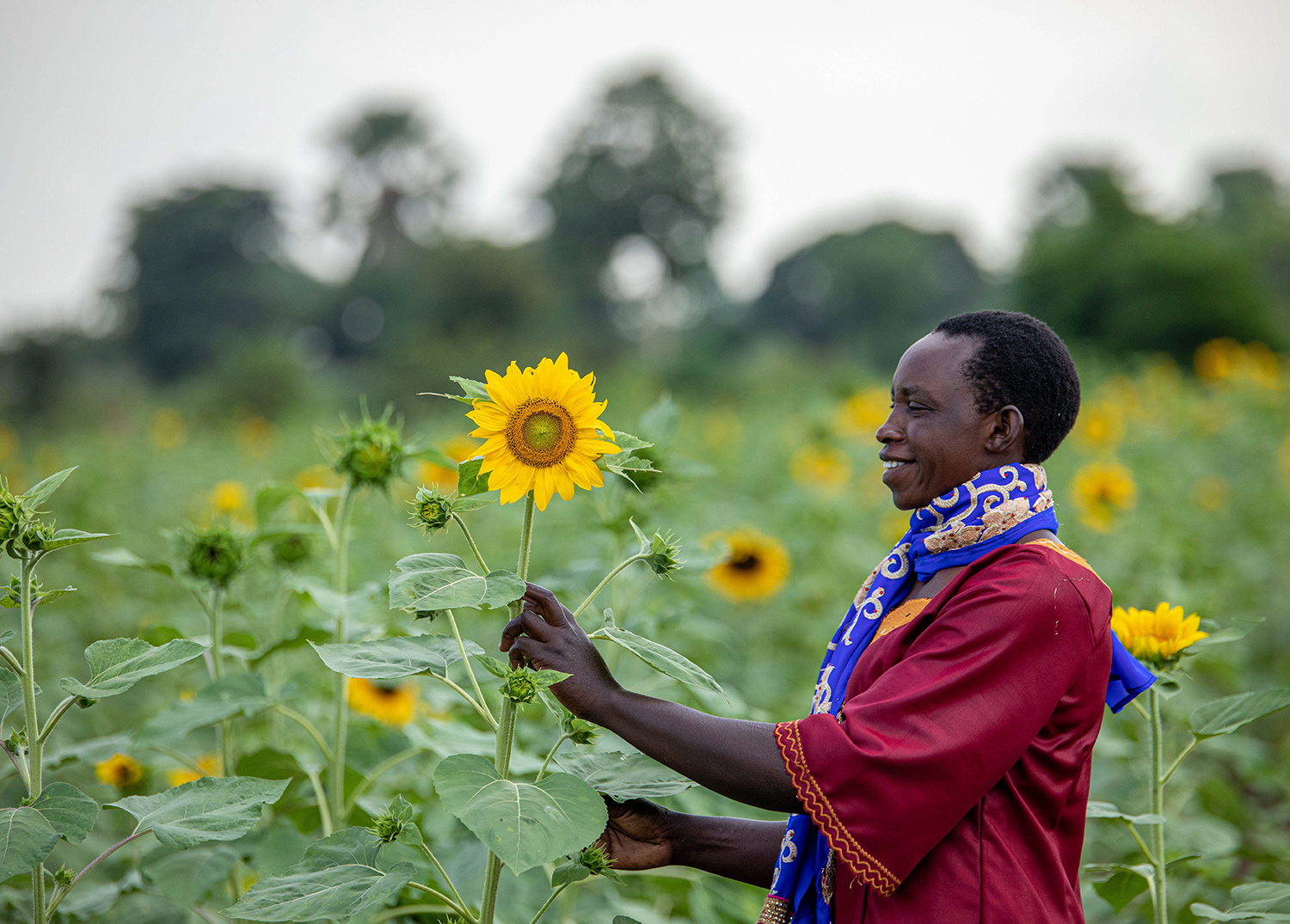 Fatuma holds a sunflower that she grew.