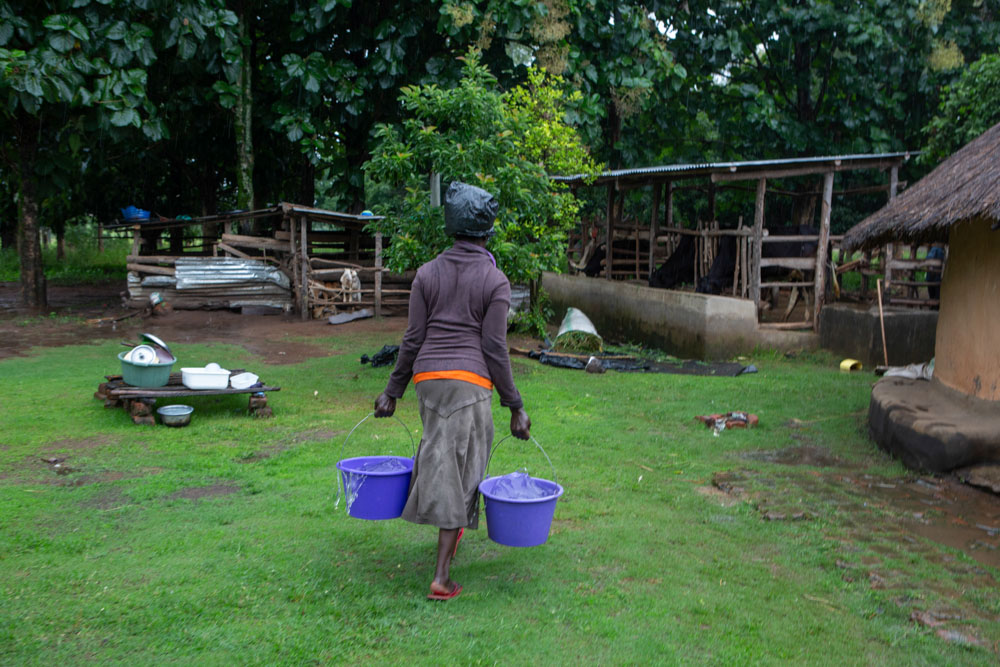 A woman carrying two blue buckets walks across her farmyard.