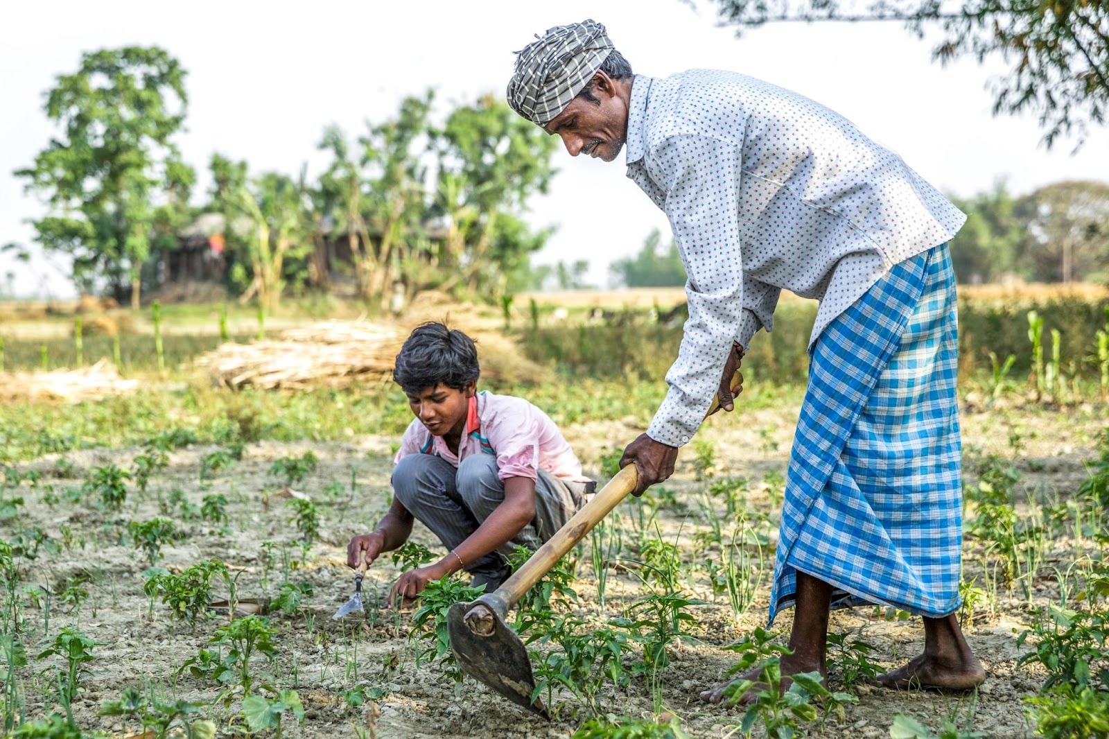 An elderly man in a patterned turban and blue-checkered lungi works the soil with a hoe beside a young boy squatting and tending to plants in a rural field, with greenery and trees in the background.
