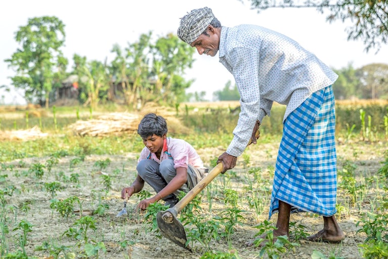 Man and younger male working on a field