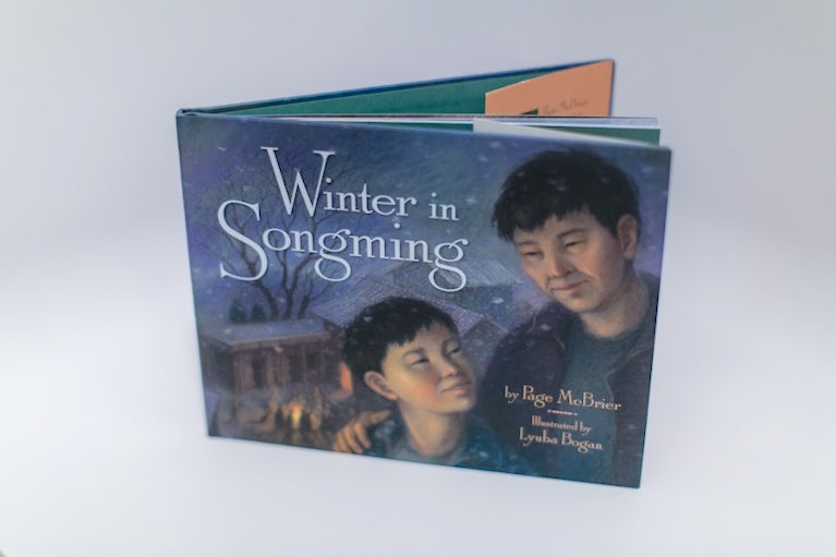 Winter in Songming book cover.