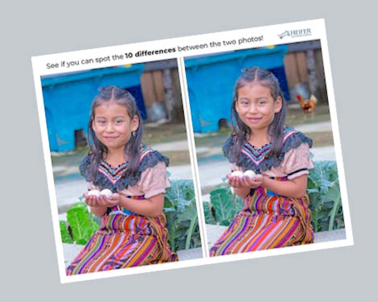 Cover of the What’s the Difference activity pack