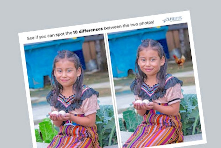 Cover of the What’s the Difference activity pack