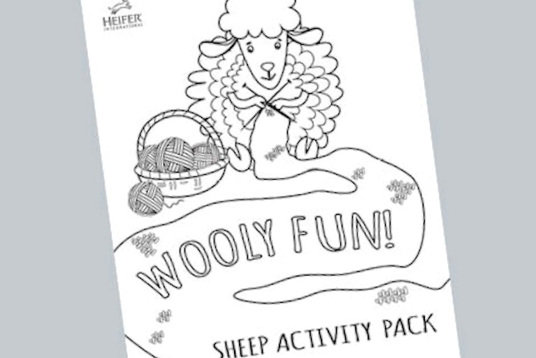 Cover of Wooly Fun Sheep Activity Pack, a sheep, knitting with balls of yarn.