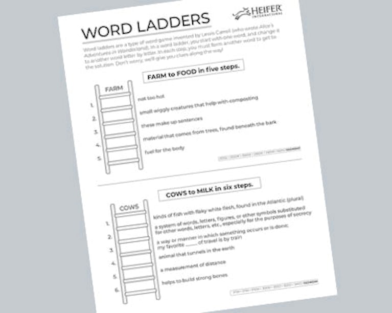 image of word ladder activity