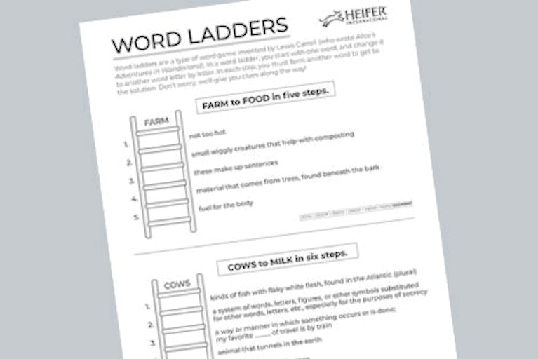 image of word ladder activity